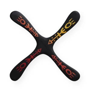 Boomerang Skyblader Carbone