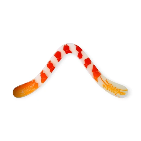 Boomerang Technic Flotteur
