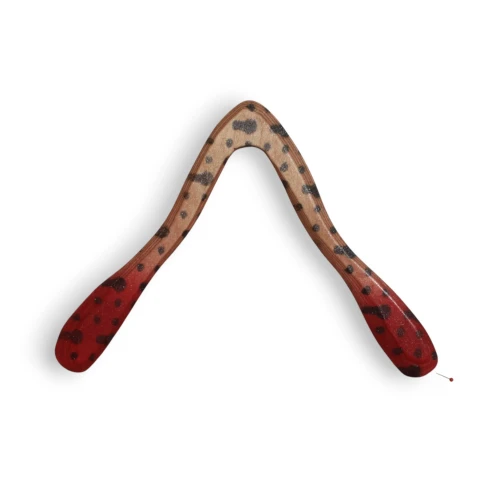 Boomerang Yossie 2