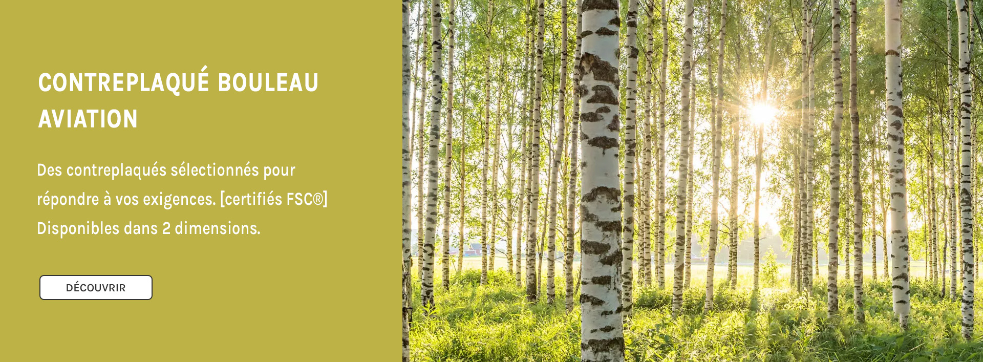 Contreplaqué bouleau aviation